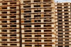 800x600_22x100_DL_p